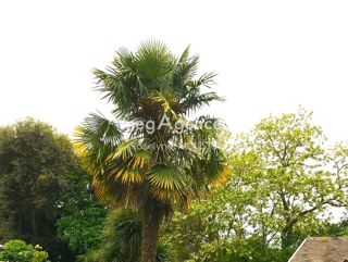  Terrain � vendre 1000 m�