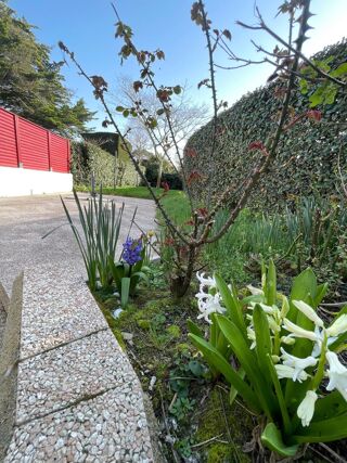  Maison � vendre 4 pi�ces 63 m�