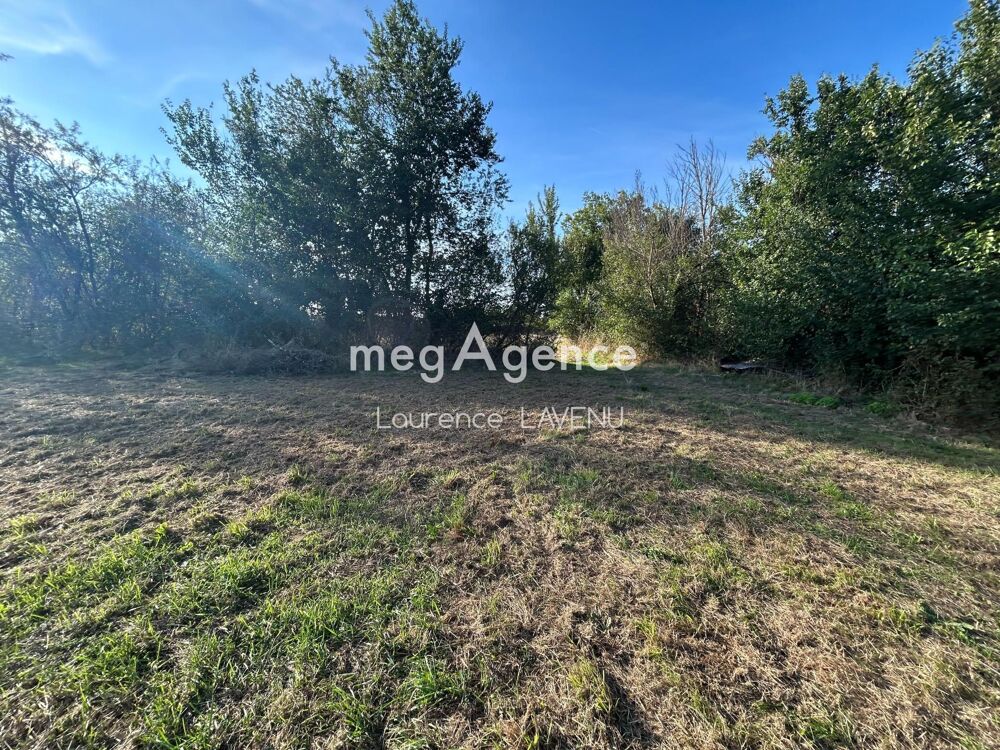 Vente Maison Maison avec 7000 m² de terrain attenant Mosnay