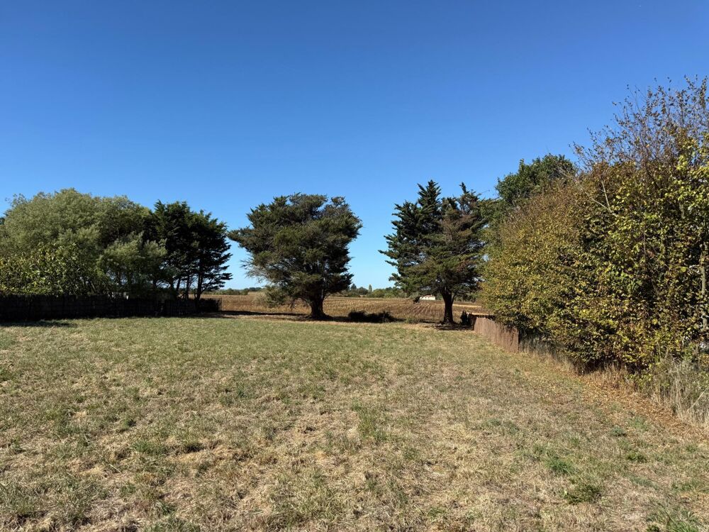 Vente Terrain TERRAIN CONSTRUCTIBLE LA GUITTIERE Talmont-saint-hilaire