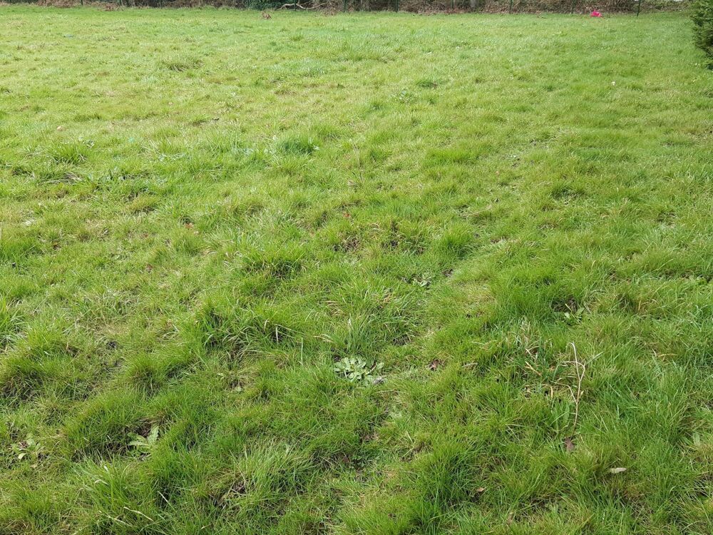 Vente Terrain Terrain constructible proche du centre du Guerno Le guerno