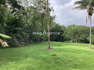  Terrain � vendre 11100 m�