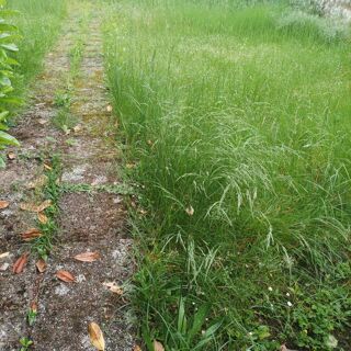  Terrain � vendre 327 m�