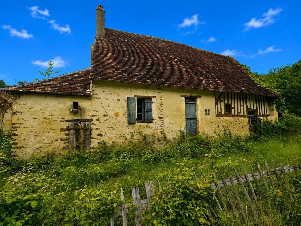 Ancienne conciergerie de château du XVe siècle  1 ha  Calme absolu  10 min du Mans