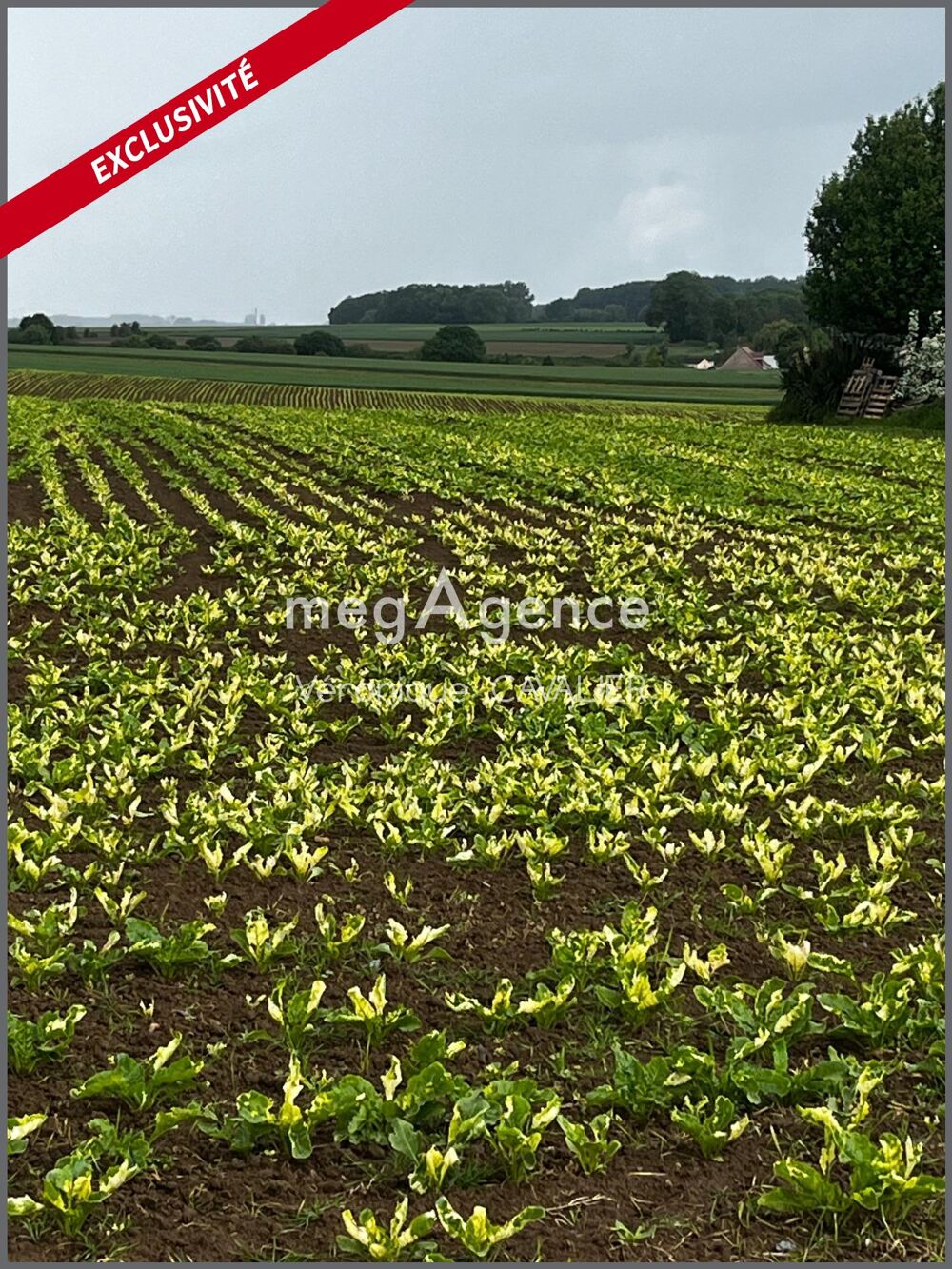 Vente Terrain Terrain constructible à la campagne Montrecourt