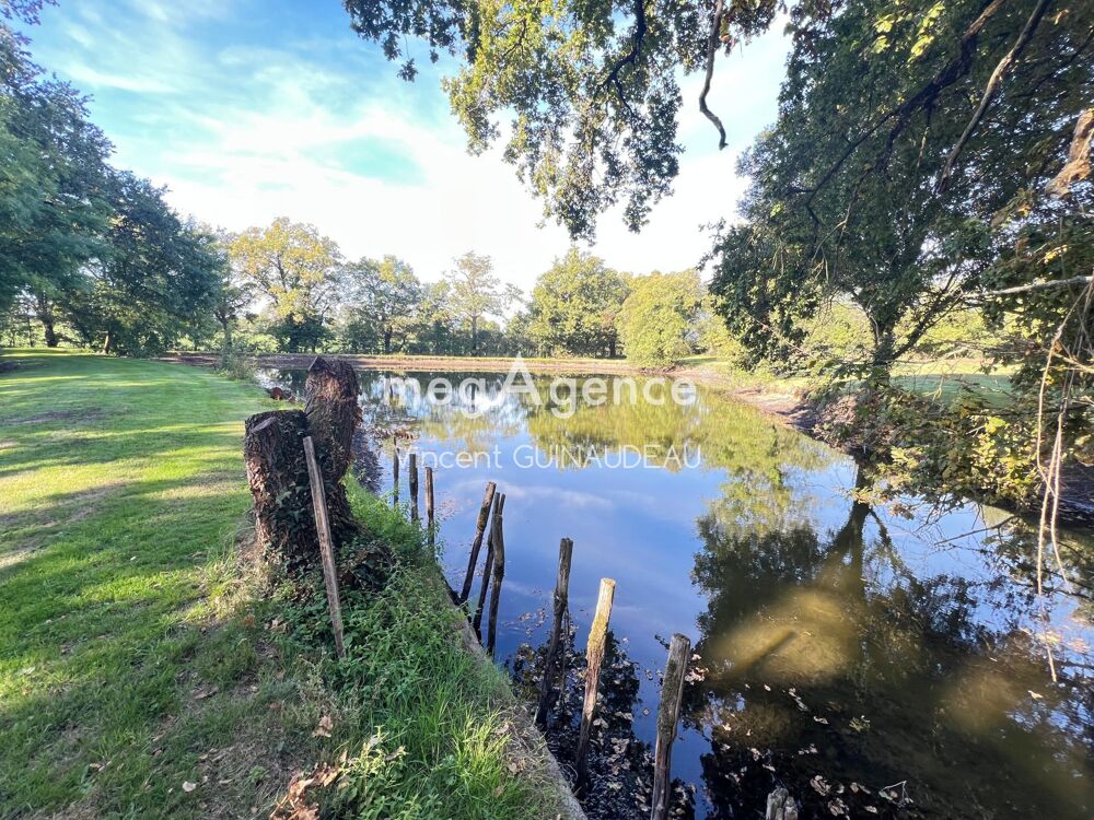 Vente Terrain Etang Au porte de Maulevrier Maulevrier