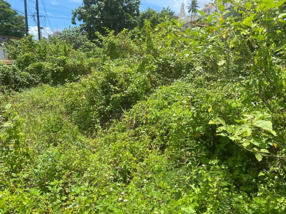 Vente Terrain Spécial investisseur : terrain rare à bâtir 479m2 Les abymes