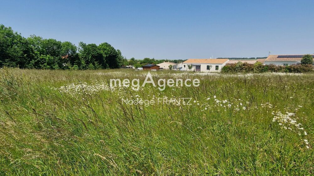 Vente Terrain Terrain à bâtir 1028 m² viabilisé et borné  17380 LANDES– Parcelle constructible, Accès direct Landes