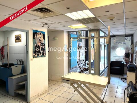   Habitation de 130 m2,  possibilité activité professionnelle, beau jardin Appartement - 3 pièce(s) - 130 m²