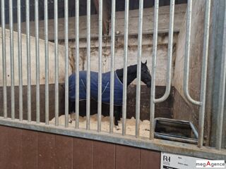  Maison � vendre 3 pi�ces 620 m�