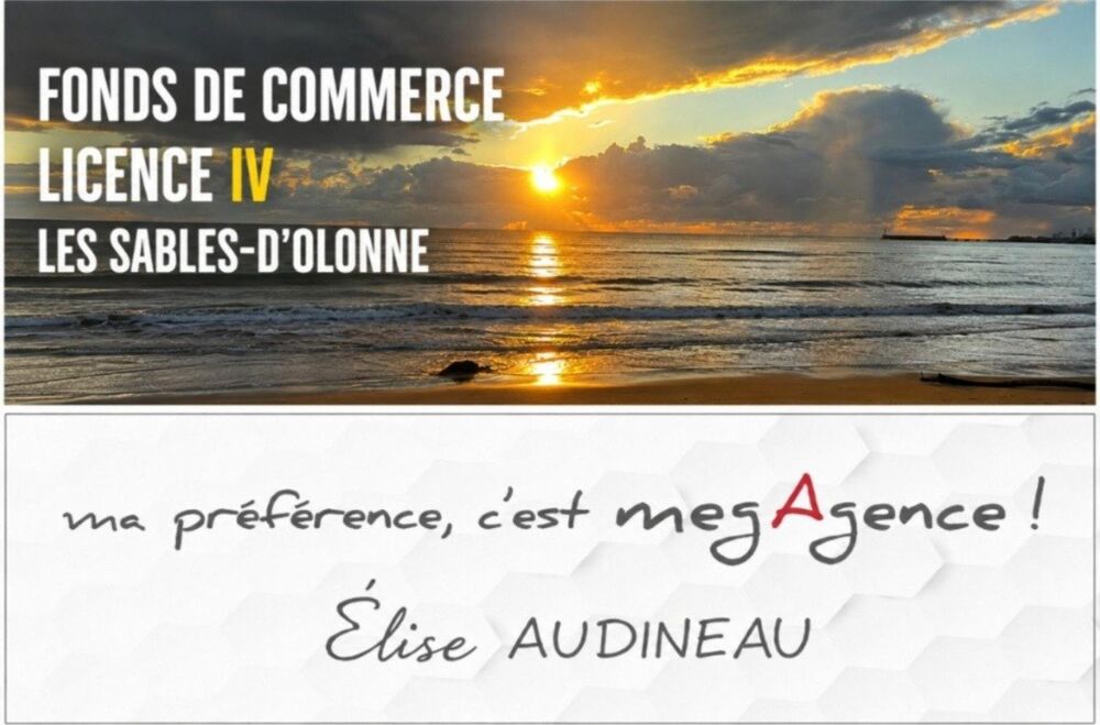   FONDS DE COMMERCE LICENCE IV AUX SABLES D'OLONNE 