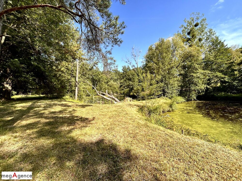 Vente Maison Avec étang et terain boisé Selles-sur-cher