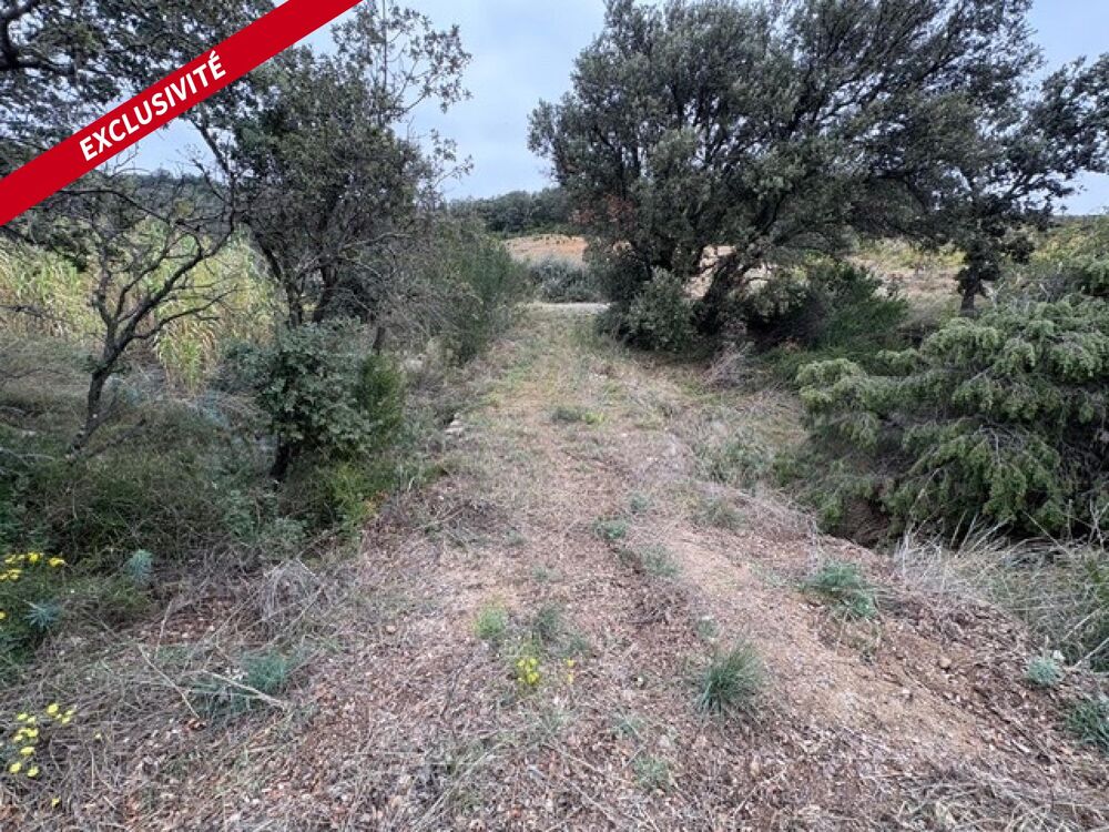 Vente Terrain Terrain agricole 10160 m2 Belesta