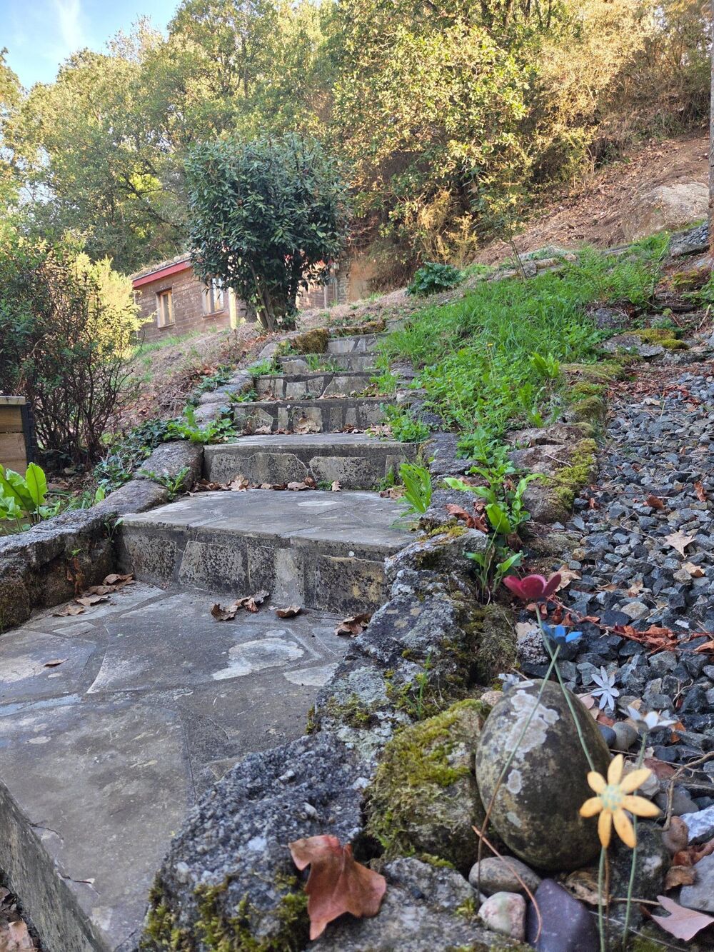 Vente Maison Ancien moulin et maison - 4 hectares Louargat