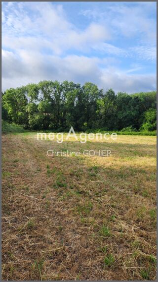  Terrain à vendre 