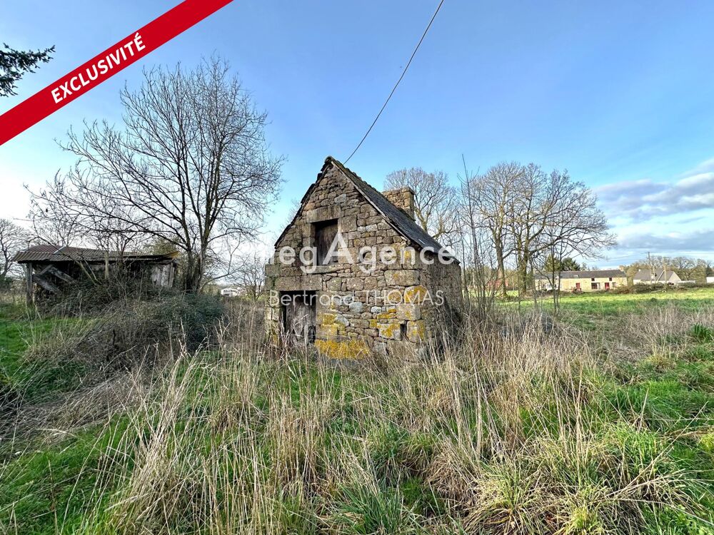 Vente Maison longère ancienne à rénover sur deux hectares 7740 m2 Chauvigne