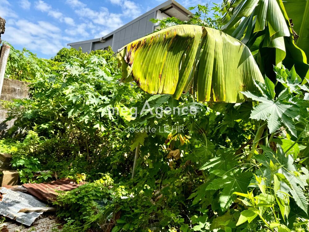 Vente Terrain Terrain à bâtir à Cayenne 223 m² Cayenne