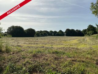  Terrain à vendre 10180 m²