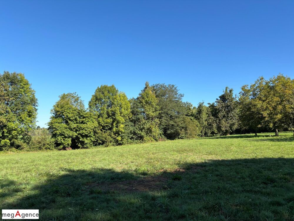 Vente Terrain Terrain à fort potentiel – Idéal promoteur ou investisseur -Entre Brive et Tulle Saint-germain-les-vergnes