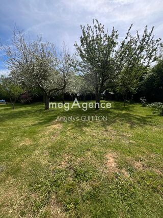  Maison � vendre 15 + pi�ces 384 m�