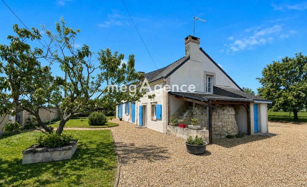 Vente Maison Allonnes-Belle longère en tuffeau sur terrain de plus de 1500 m2 Allonnes