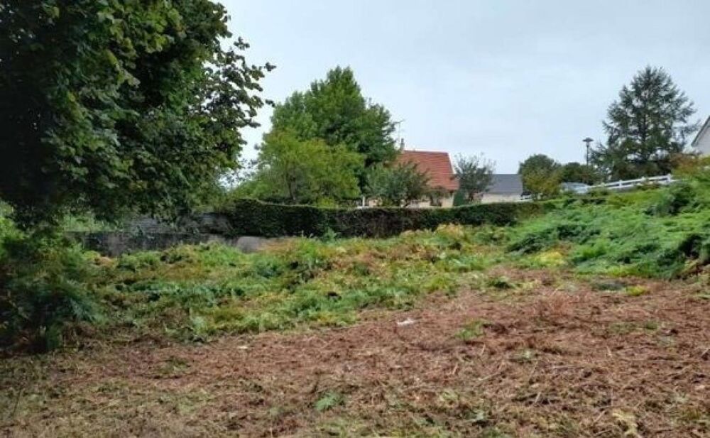 Vente Terrain Si vous deviez choisir un seul terrain… ce serait celui-ci Les monts d'andaine