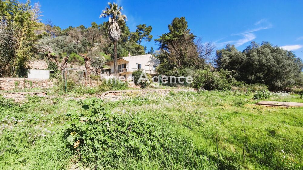 Propriété 6000 m² avec 2 habitations + locatif en place  Cannet-des-Maures