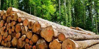  Terrain � vendre 70060 m� Landevant