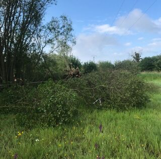  Terrain � vendre 12500 m�