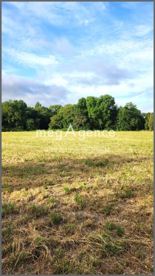  Terrain à vendre 6042 m²