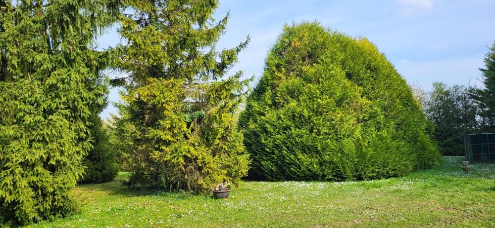 Vente Terrain Espace et tranquillité, multi projets ! Terrain de 5824 m2 clos et arboré. Constructible. Beauce la romaine