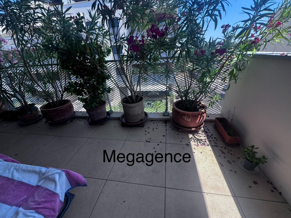 appartement proche de tout