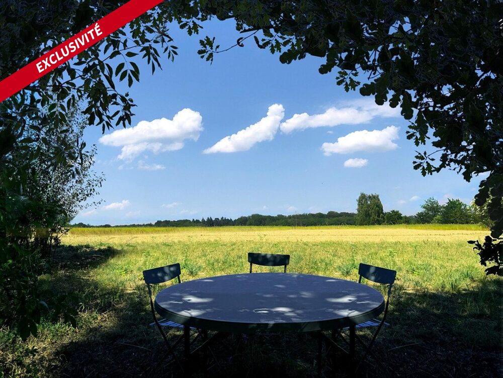 Vente Maison Maison de charme sur 5288m2 de parc arboré. Villebougis