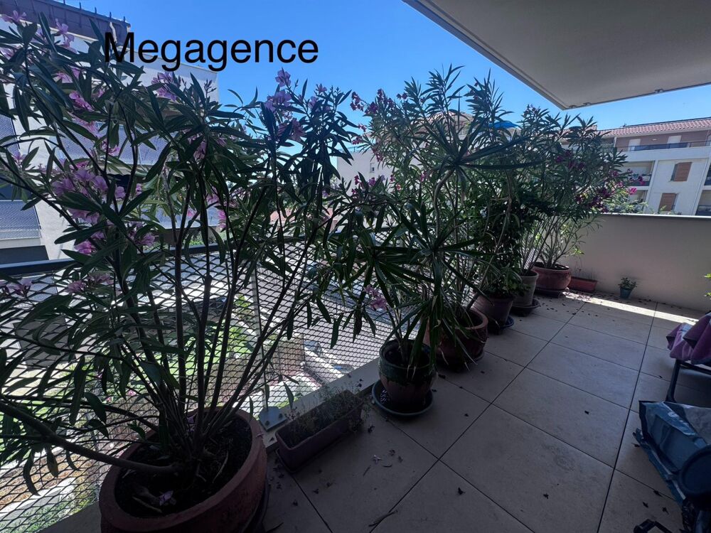 appartement proche de tout