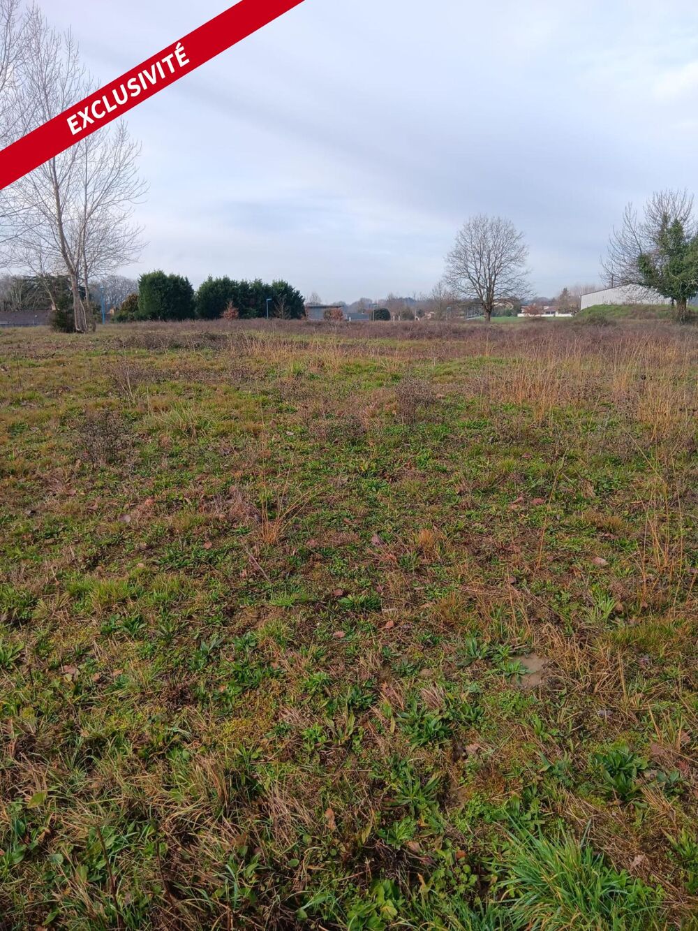 Vente Terrain Valence (82400 ) terrain de 5000m² , viabilisé ,en zone industrielle avec double entrée . Valence