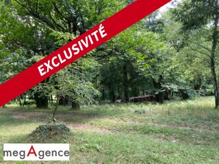  Terrain à vendre 2384 m²