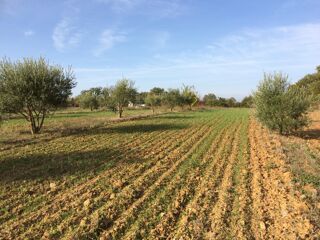  Terrain � vendre 27000 m�