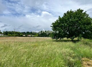  Terrain à vendre 990 m²