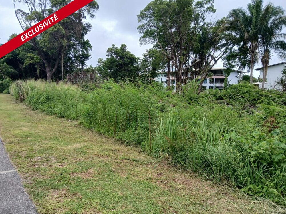 Vente Terrain SUPER TERRAIN A BATIR BORNE D'UNE SURFACE DE 3 706 M2 TRES BIEN SITUE Cayenne