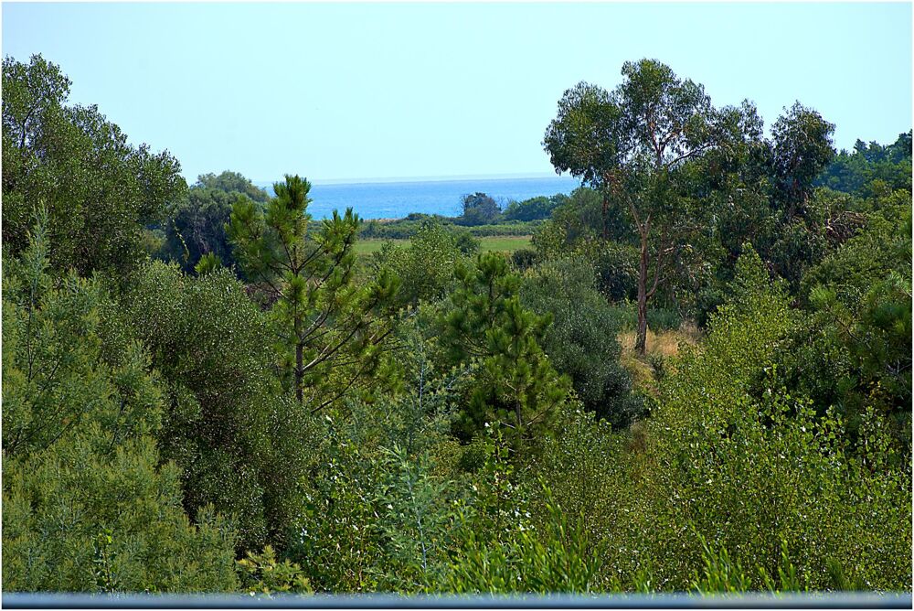 � vendre  Maison Solaro (20240)