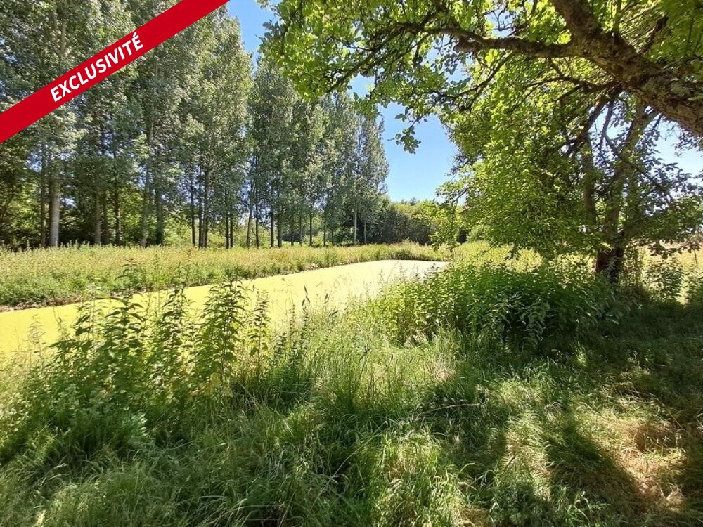 Vente Maison BELLE MAISON DE CAMPAGNE AVEC  ETANG SUR PARCELLE DE 9800 m2 AU CALME Mansigne