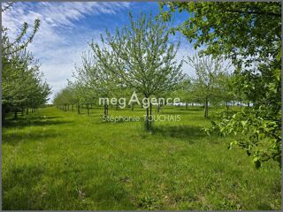  Terrain à vendre 30695 m²