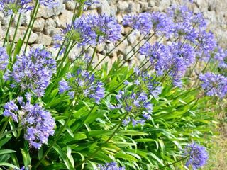  Maison � vendre 5 pi�ces 200 m�