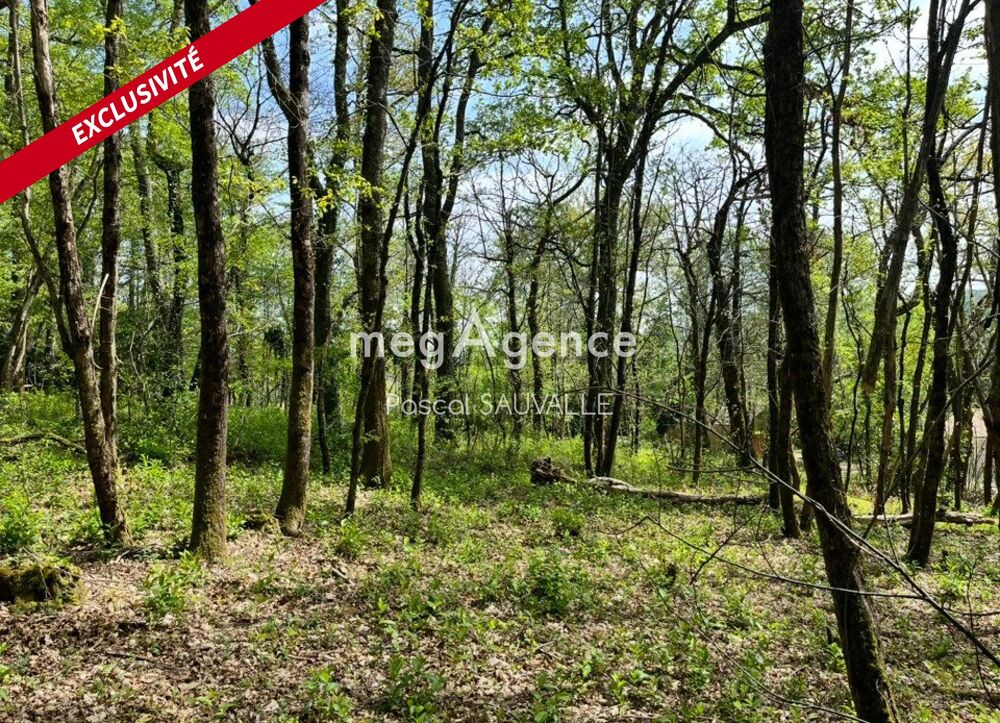 Vente Terrain Terrain à bâtir de 4560m2 Chancelade
