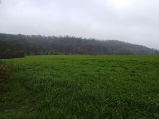  Terrain à vendre 190000 m²
