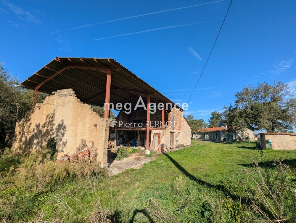 Vente Maison Pavillon plain pied avec dépendance et serres agricoles Tecou