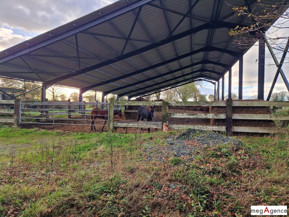  vendre  Maison Nozay (44170)