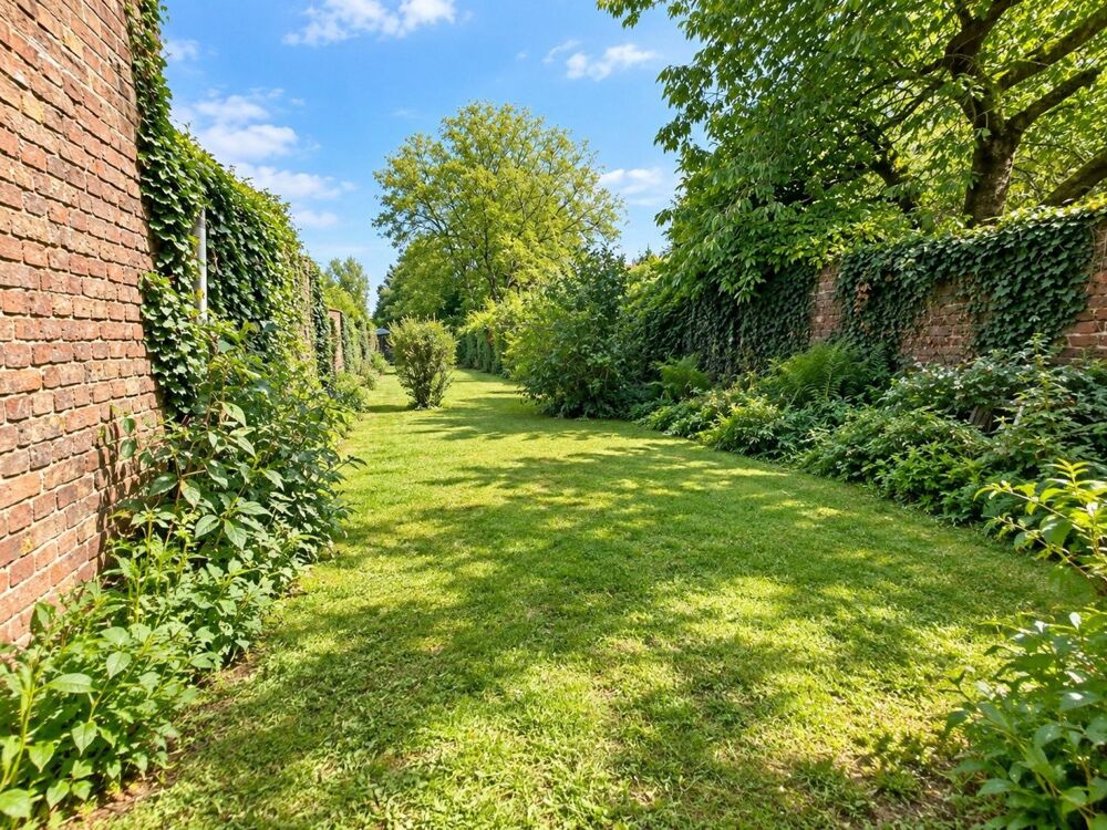 Vente Maison EXCLUSIVITE-Petite maison de ville avec jardin à Cambrai Cambrai
