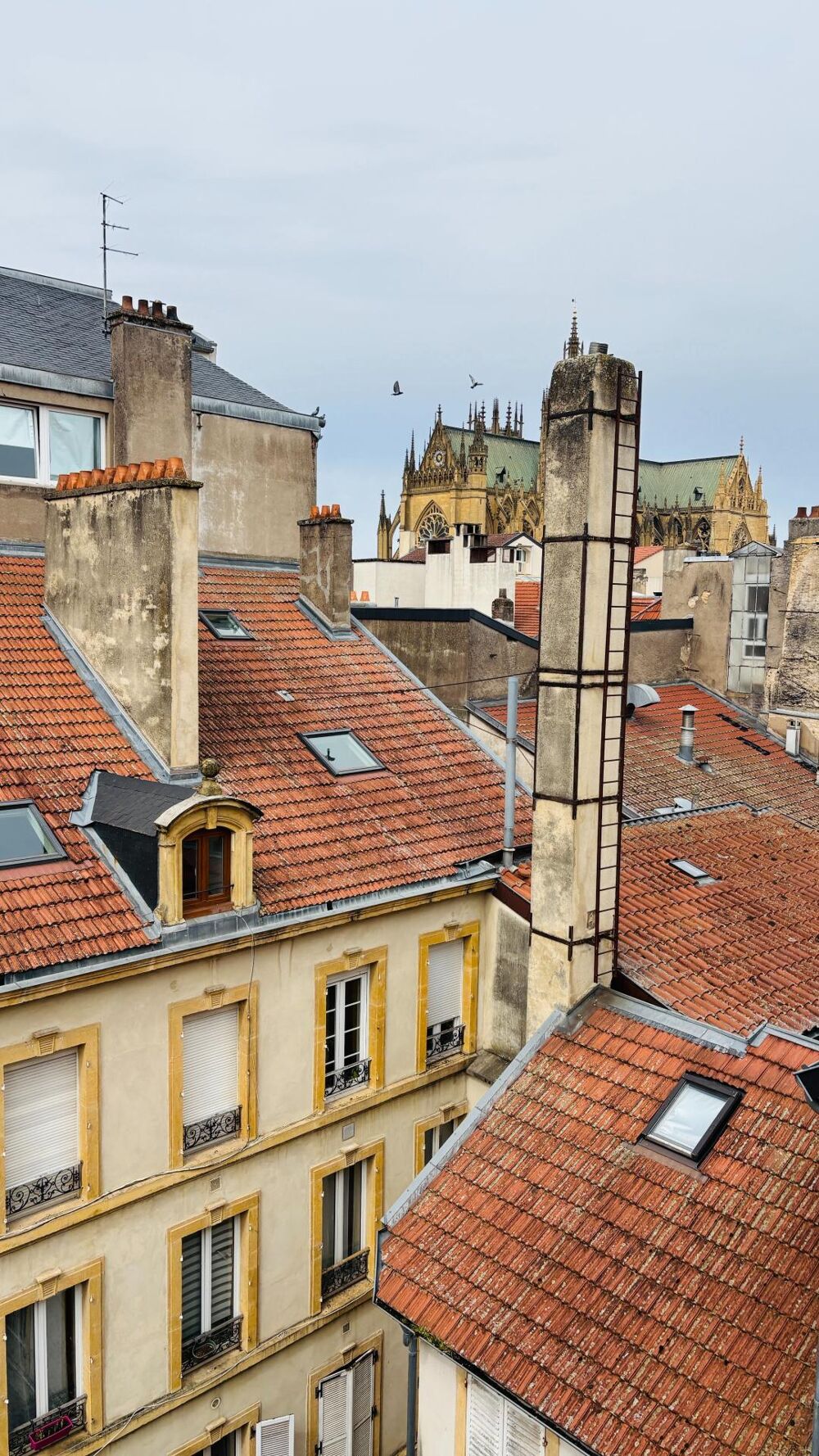 Appartement F1 Charme & Potentiel en plein centre ville