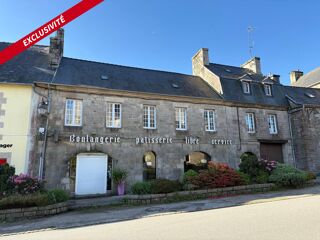  Maison � vendre 15 + pi�ces 315 m�